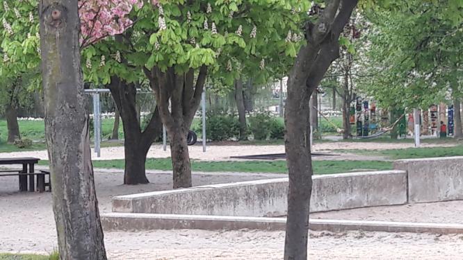 copy_20180426_064833.jpg